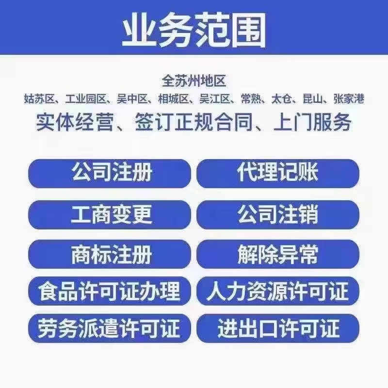 丽江财税公司的业务范围有哪些？